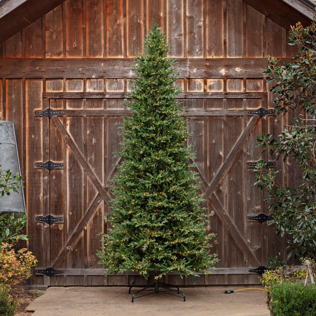 12-Foot Pre-Lit Farmhouse Olympia Fir Christmas Tree – 2,500 Lights & 10,024 Realistic Tips-Christmas Tree-tbgypsysoul