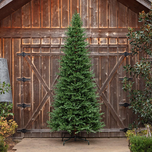 12-Foot Pre-Lit Farmhouse Olympia Fir Christmas Tree – 2,500 Lights & 10,024 Realistic Tips-Christmas Tree-tbgypsysoul