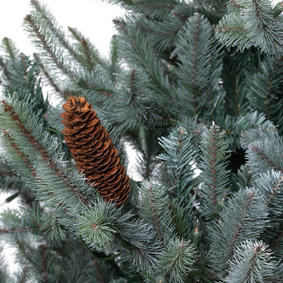 Park Hill Blue Spruce, Slim Christmas Tree, 7.5'-Christmas Tree-tbgypsysoul