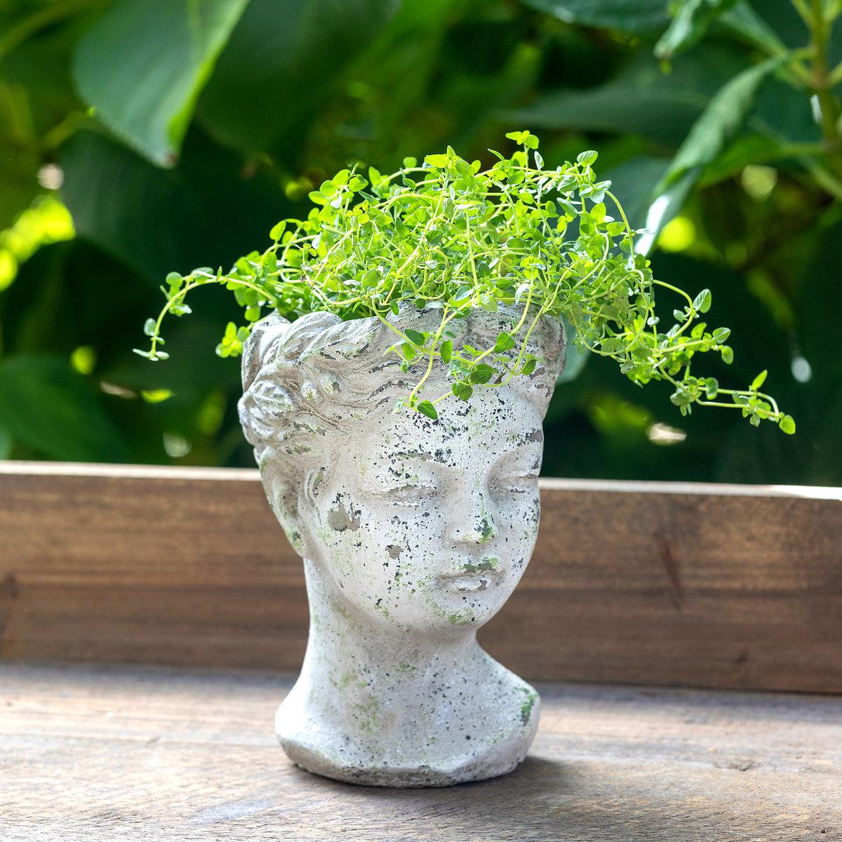 Concrete Bust Planter, Small-Vase-tbgypsysoul