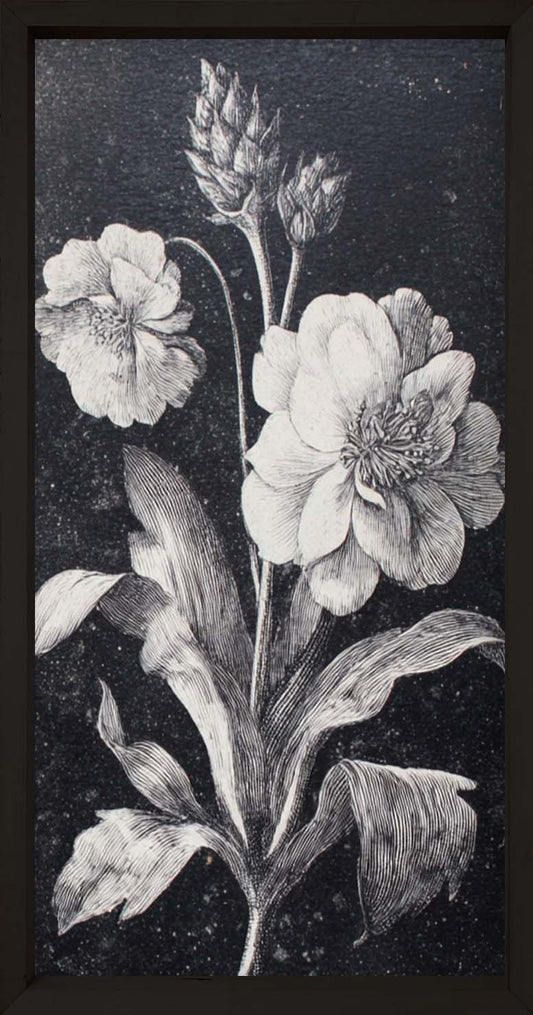 Dark Botanica Set-Wall Art-tbgypsysoul
