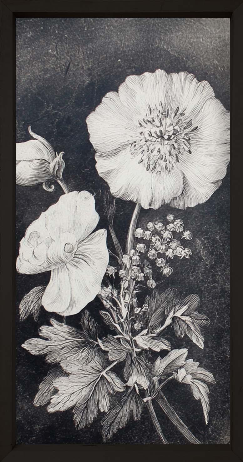Dark Botanica Set-Wall Art-tbgypsysoul