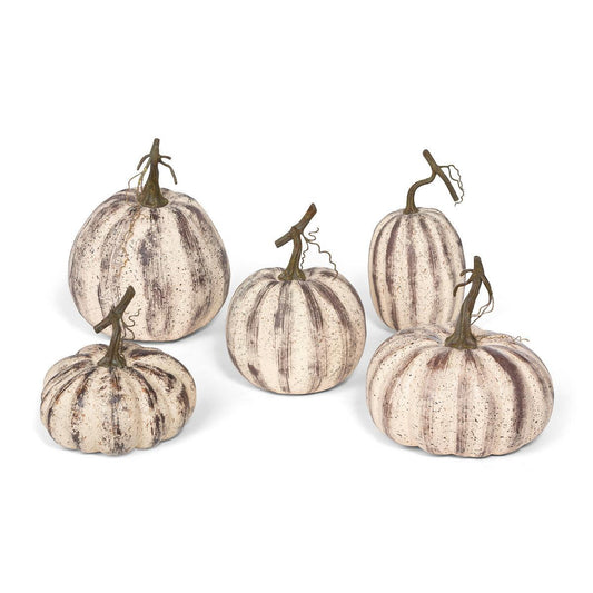 Farmhouse Pumpkins, Set of 5-Decorative Pumpkins-tbgypsysoul