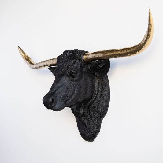 Faux Texas Longhorn Sculpture-Wall Decor-tbgypsysoul
