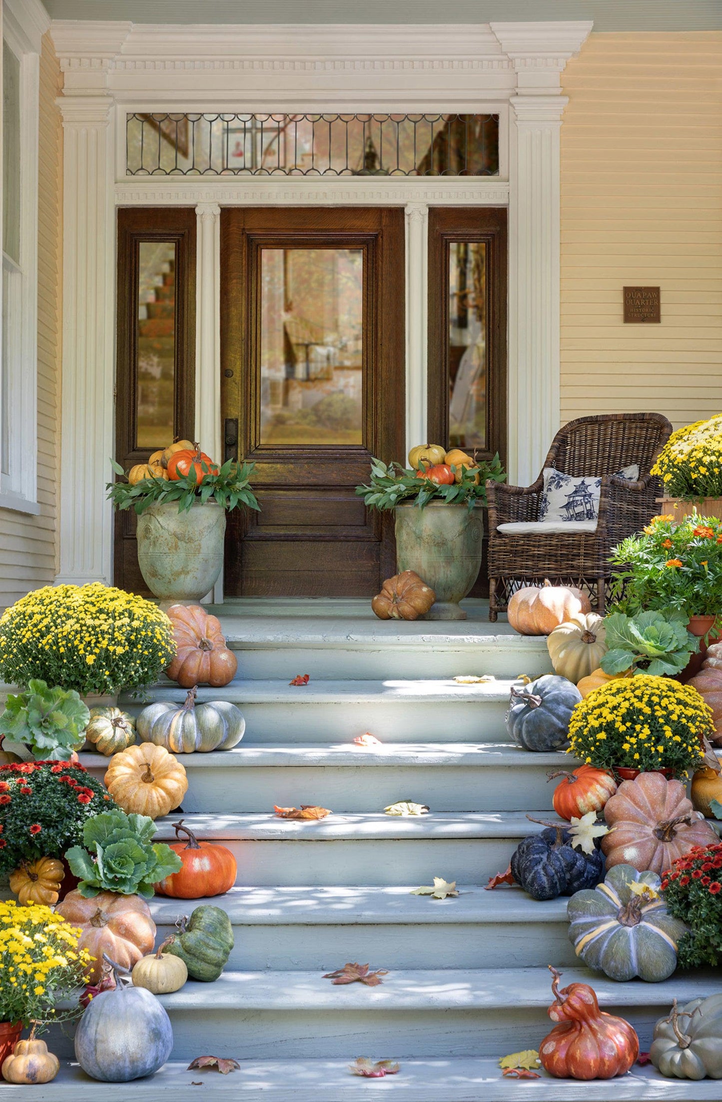 Kentucky Field Pumpkin Collection, Set of 5-Decorative Pumpkins-tbgypsysoul
