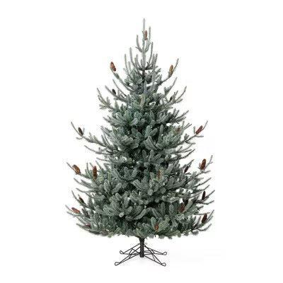 Park Hill Blue Spruce Christmas Tree, 7.5' Clear and Multi Lights-Christmas Tree-tbgypsysoul