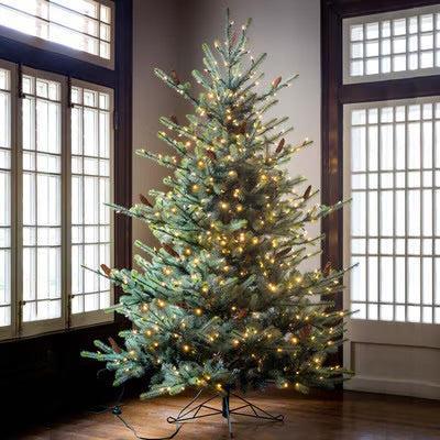 Park Hill Blue Spruce Christmas Tree, 7.5' Clear and Multi Lights-Christmas Tree-tbgypsysoul