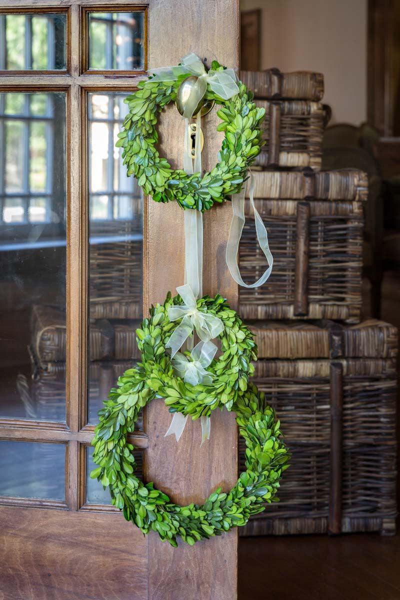 PRESERVED BOXWOOD
