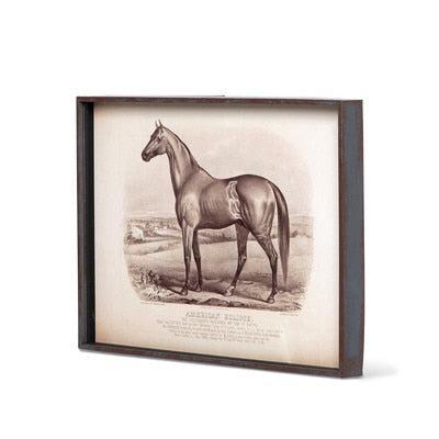 Prized Race Horse Framed Prints, Set of 6-Wall Art-tbgypsysoul