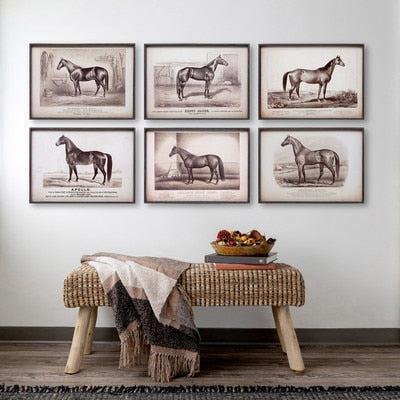 Prized Race Horse Framed Prints, Set of 6-Wall Art-tbgypsysoul