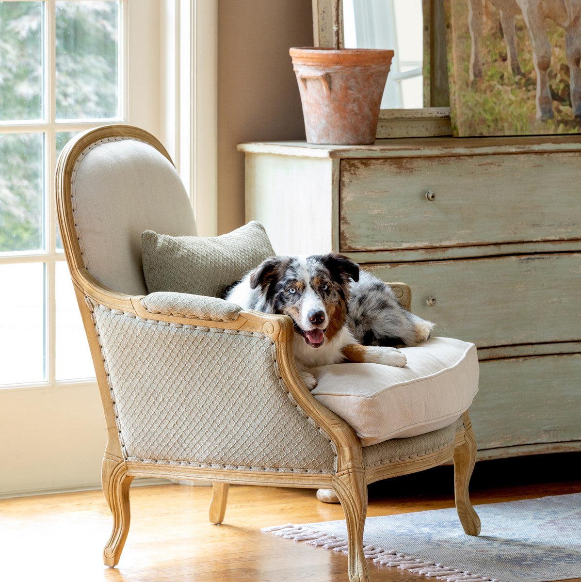 Cane back bergere online chair