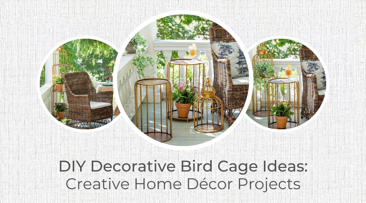 DIY Decorative Bird Cage Ideas: Creative Home Décor Projects