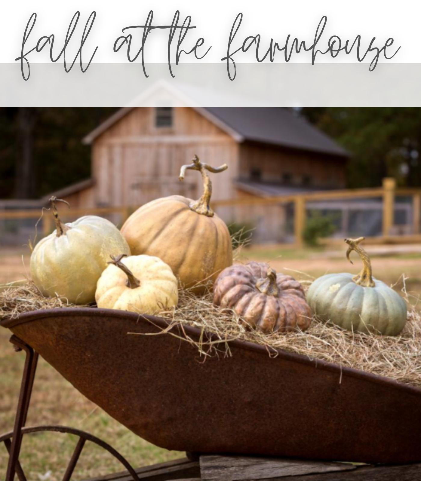 Fall at the Farmhouse