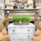 Louisville Mantle Surround