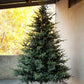 Park Hill Blue Spruce Christmas Tree, 12'-Christmas Tree-tbgypsysoul