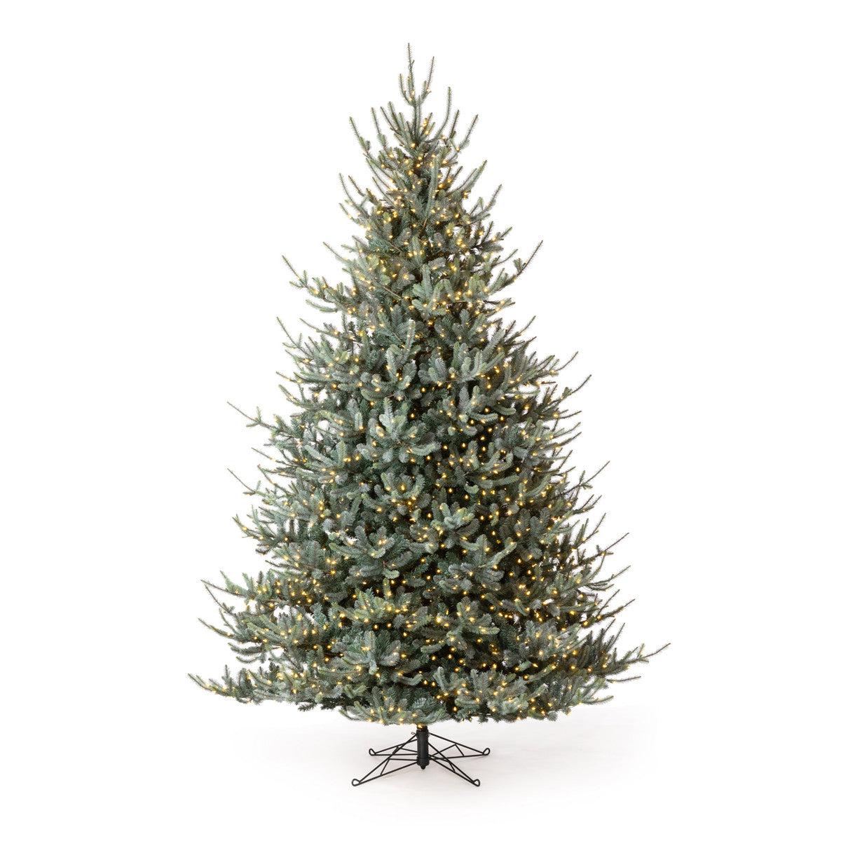 Park Hill Blue Spruce Christmas Tree, 12'-Christmas Tree-tbgypsysoul
