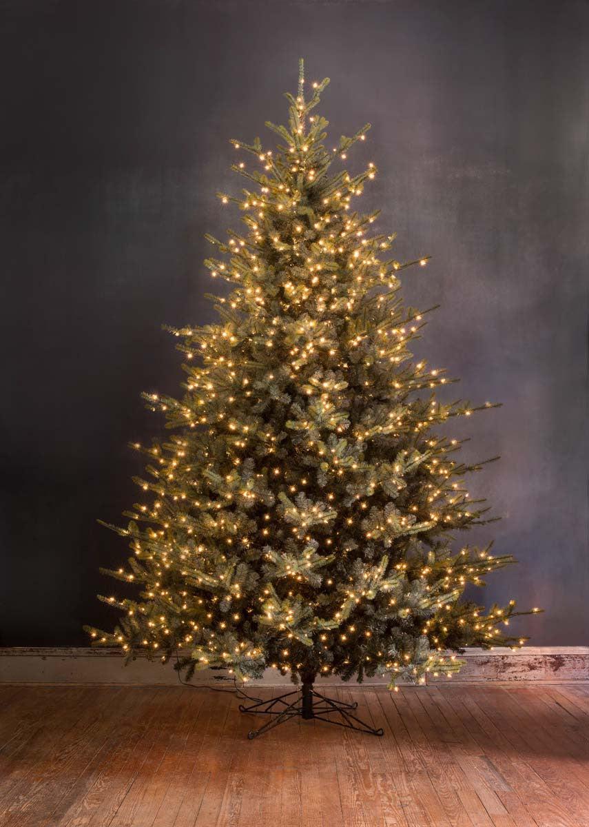 Park Hill Blue Spruce Christmas Tree, 12'-Christmas Tree-tbgypsysoul