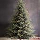 Park Hill Blue Spruce Christmas Tree, 12'-Christmas Tree-tbgypsysoul