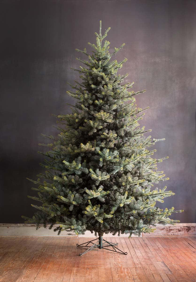 Park Hill Blue Spruce Christmas Tree, 12'-Christmas Tree-tbgypsysoul