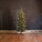 Park Hill Blue Spruce, Slim Christmas Tree, 7.5'-Christmas Tree-tbgypsysoul