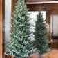 Park Hill Blue Spruce, Slim Christmas Tree, 7.5'-Christmas Tree-tbgypsysoul