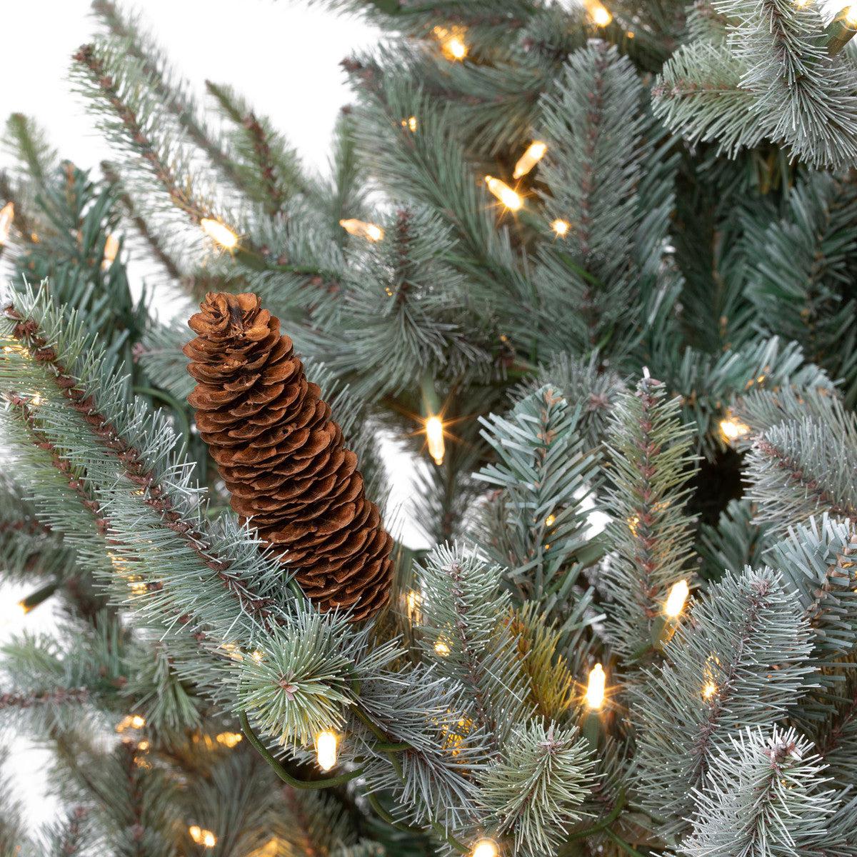 Park Hill Blue Spruce, Slim Christmas Tree, 7.5'-Christmas Tree-tbgypsysoul