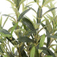 30" Faux Olive Arrangement in Artisan Vase-Faux Plant-tbgypsysoul