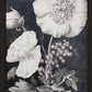 Dark Botanica Set