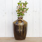 Antique Spanish Glazed Wine Jug-tbgypsysoul