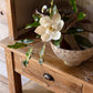 Apothecary Cabinet-Cabinet-tbgypsysoul