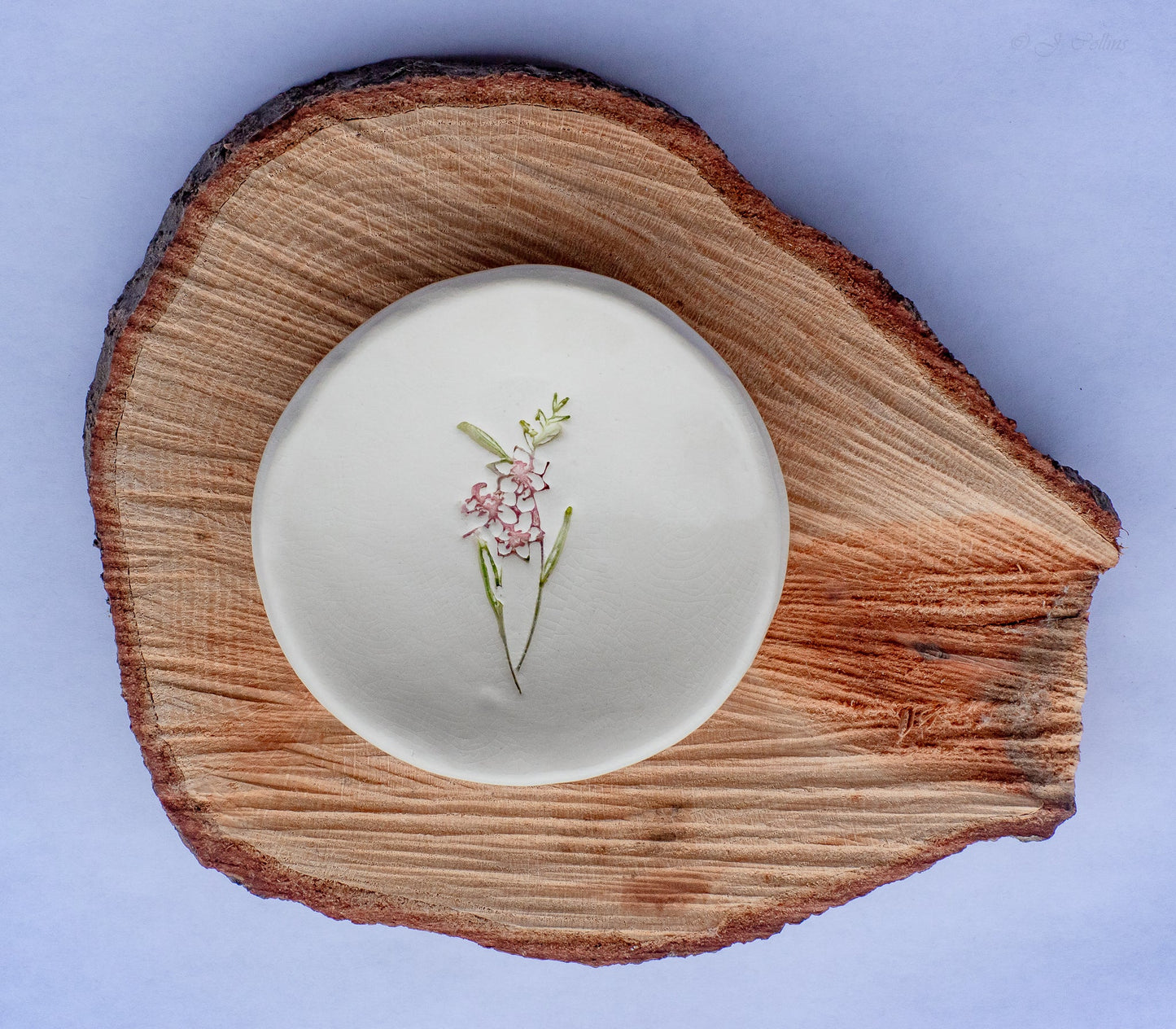 Birth Flower Ring Dish-Ceramic-tbgypsysoul