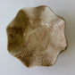 Blossom Bowl-Ceramic-tbgypsysoul