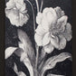 Dark Botanica Set-Wall Art-tbgypsysoul
