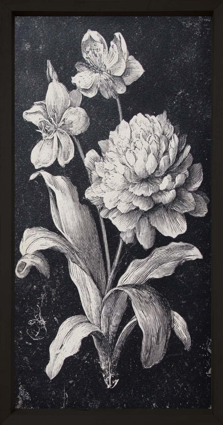 Dark Botanica Set-Wall Art-tbgypsysoul