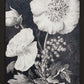 Dark Botanica Set-Wall Art-tbgypsysoul