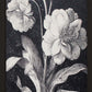 Dark Botanica Set-Wall Art-tbgypsysoul