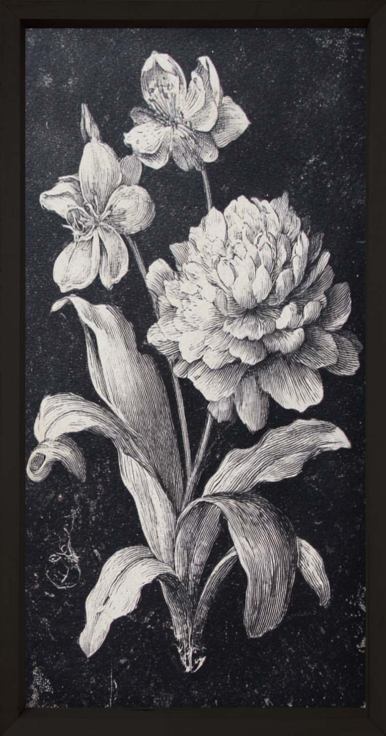 Dark Botanica Set-Wall Art-tbgypsysoul