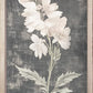 Dark Vintage Botanicals 35" x 18"-Wall Art-tbgypsysoul