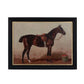 English Riding Horses Framed Print, 4 Assorted Styles-Wall Art-tbgypsysoul