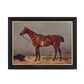 English Riding Horses Framed Print, 4 Assorted Styles-Wall Art-tbgypsysoul