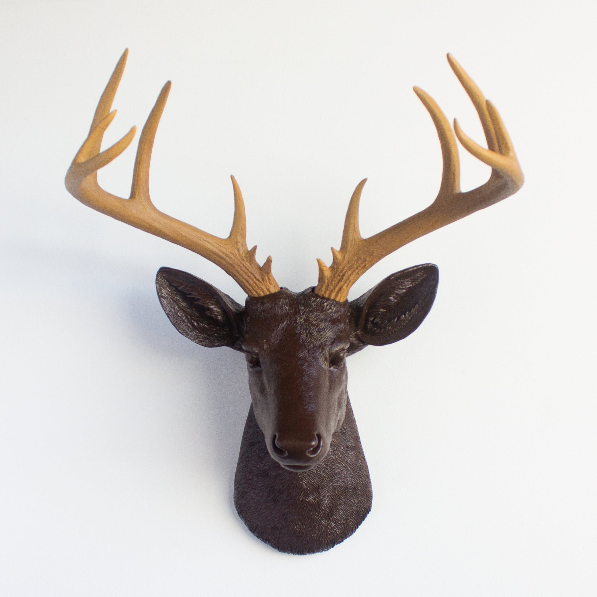 Faux Deer Sculpture-Wall Decor-tbgypsysoul