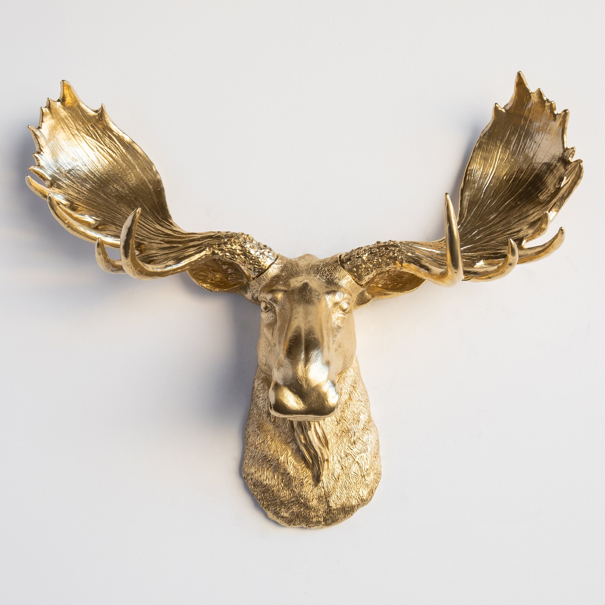 Faux Moose Sculpture-Wall Decor-tbgypsysoul