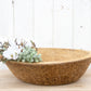 Grand French Farmhouse Bleached Wooden Bowl-Dough Bowl-tbgypsysoul
