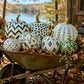 A wheelbarrow filled with decorative pumpkins in autumn colors, set outdoors near a lake with trees and fall leaves in the background.