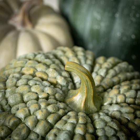 Green Gourd Pumpkins - Set of 3-Decorative Pumpkins-tbgypsysoul