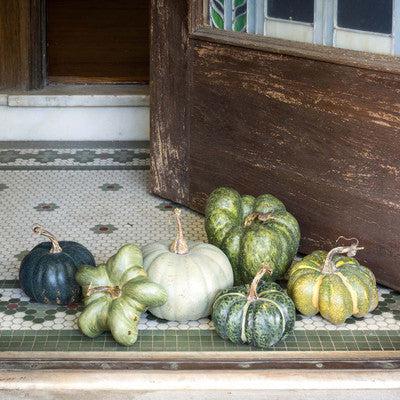 Green Heirloom Pumpkin Collection, Set of 6-Decorative Pumpkins-tbgypsysoul