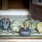Green Heirloom Pumpkins, Set of 5, Assorted Styles-Decorative Pumpkins-tbgypsysoul