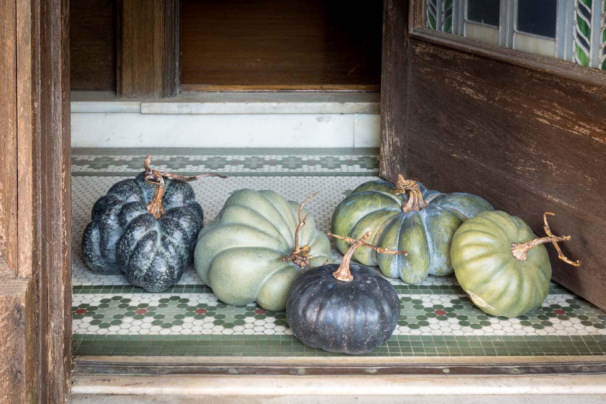 Green Heirloom Pumpkins, Set of 5, Assorted Styles-Decorative Pumpkins-tbgypsysoul