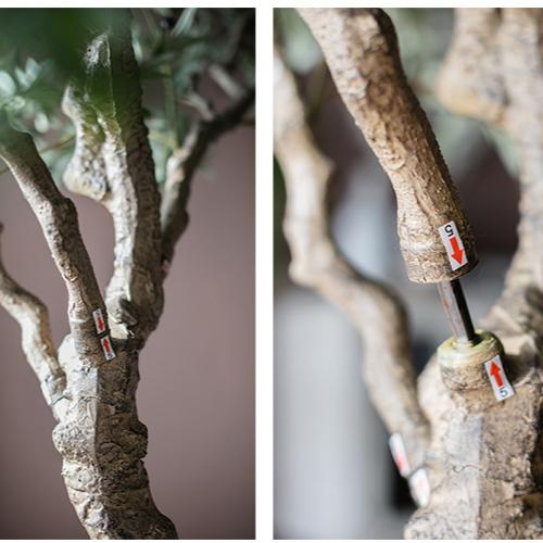 Handmade Artificial Olive Tree – 118” Tall-tbgypsysoul
