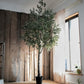 Handmade Artificial Olive Tree – 118” Tall-tbgypsysoul